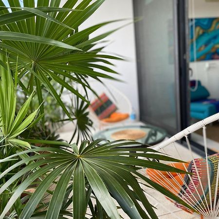 פלאייה דל כרמן Family Apartments Near Beach Polo88 מראה חיצוני תמונה